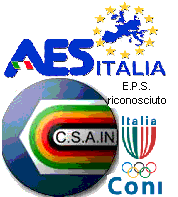 aes csain logo