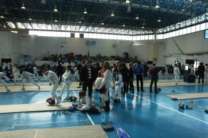 FENCING060310 001