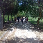 ariano1cross