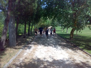 ariano1cross