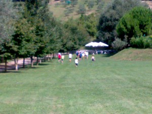 ariano5cross