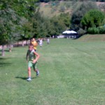 ariano8cross