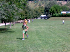 ariano8cross